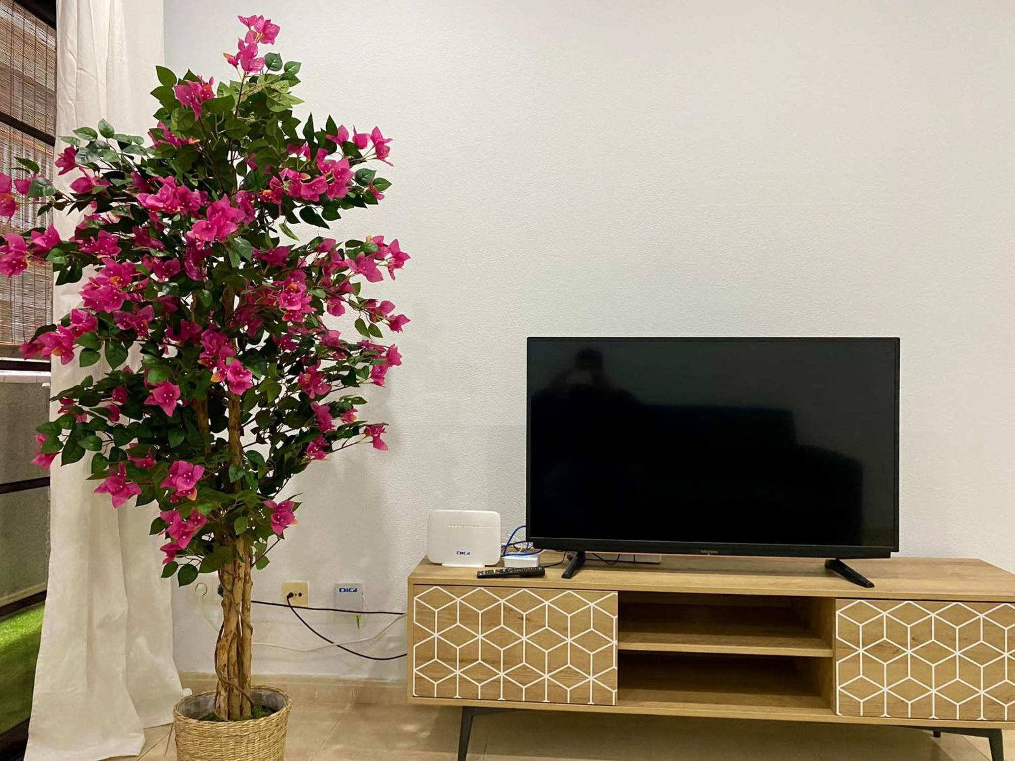 Loft Santa Catalina Park II Apartment Las Palmas de Gran Canaria Luaran gambar